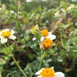 Meet your Posher, Jeanna